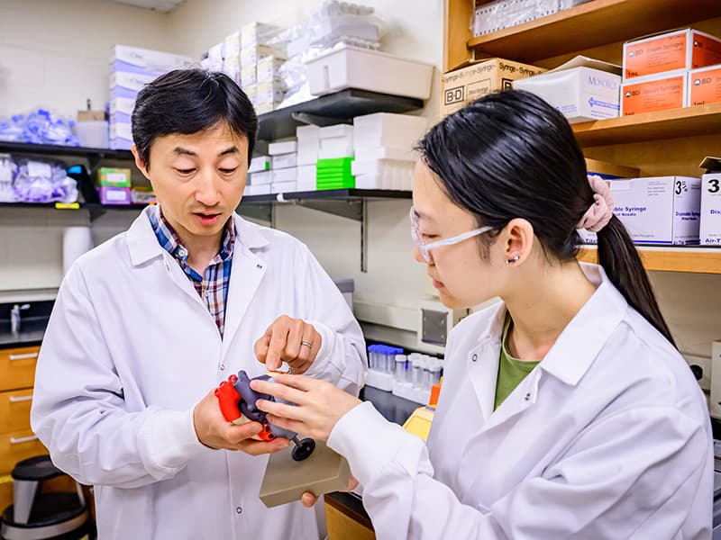 Dr. Won and a team member review a heart model