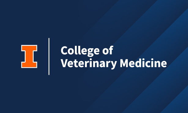 college essay veterinarian