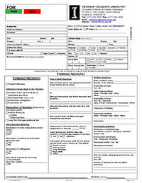 Image Result For Job Update Form