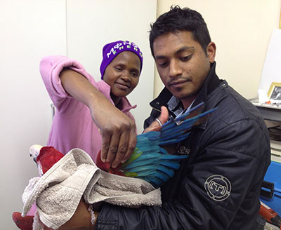 bryanston avian clinic