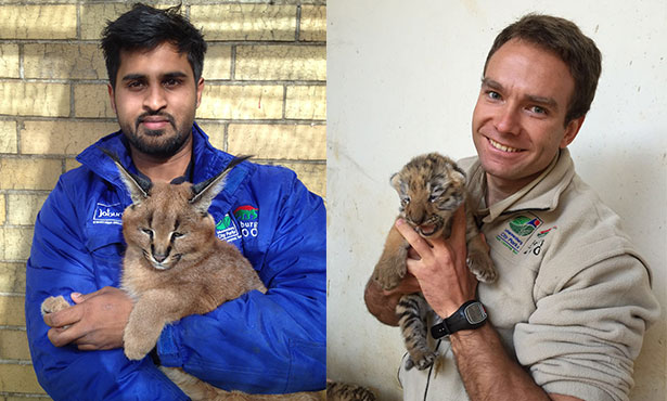 onderstepoort exotic vet