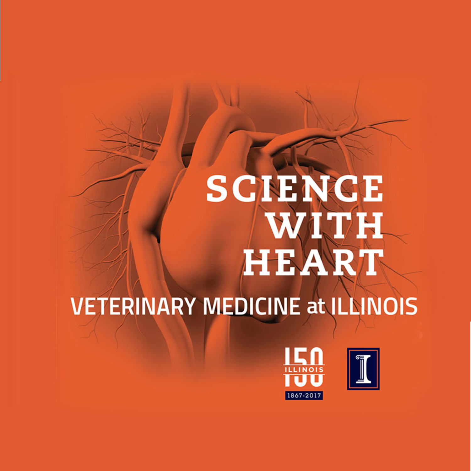 Illinois 3dvm App Veterinary Medicine At Illinois