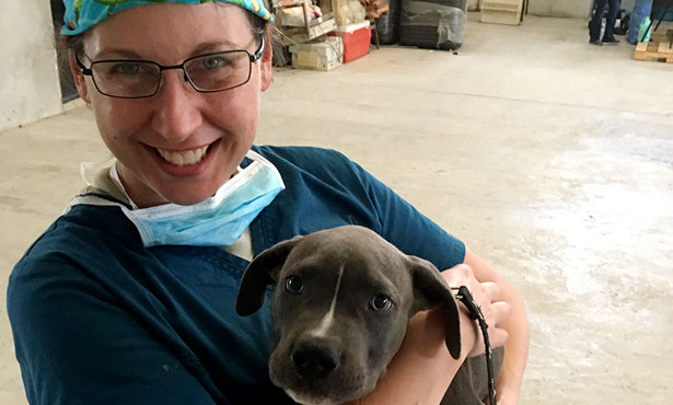 Dr. Erin Stein with dog