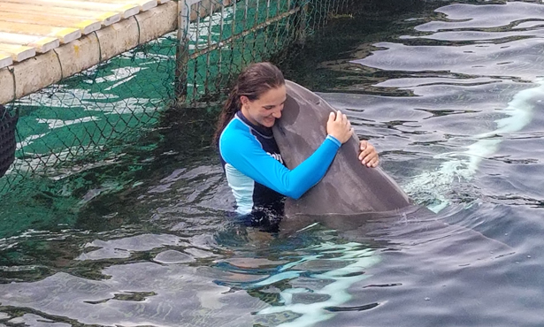 dolphin
