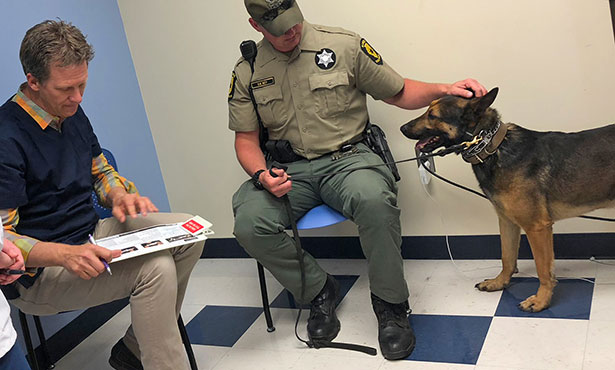 asthma in dogs natural treatments