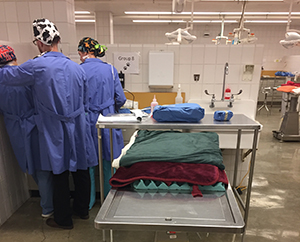 Junior surgeons prepare for a successful surgery week