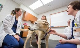 clinical trial in neurology