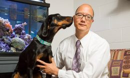 Dr. Fan is a professor and serves as the principal investigator of the Comparative Oncology Research Laboratory housed in the Department of Veterinary Clinical Medicine.