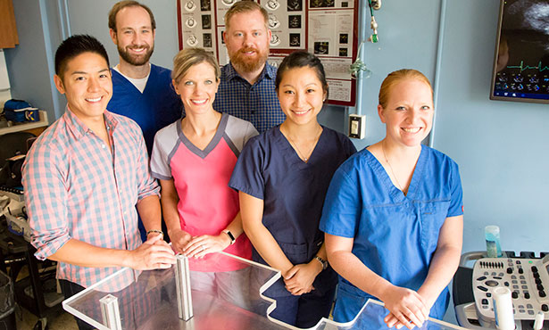 Members of the Cardiology Team