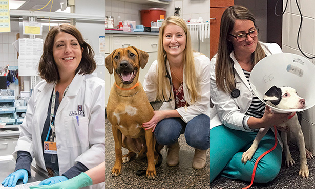 Drs. Caroline Tonozzi, Jenica Haraschak, and Meghan Fick