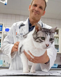 [Dr. Arnon Gal with a cat]