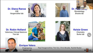 slide from presentation about COVID Shield team