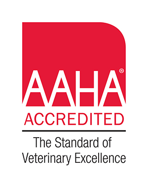 Accredited by the American Animal Hospital Association