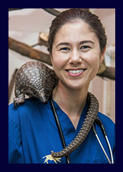 Dr. Karisa Tang smiles for a photo with a Pangolin around her neck