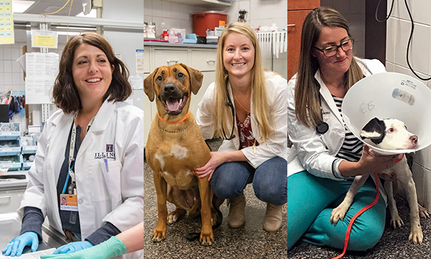 Update from ER Head - Veterinary Medicine at Illinois