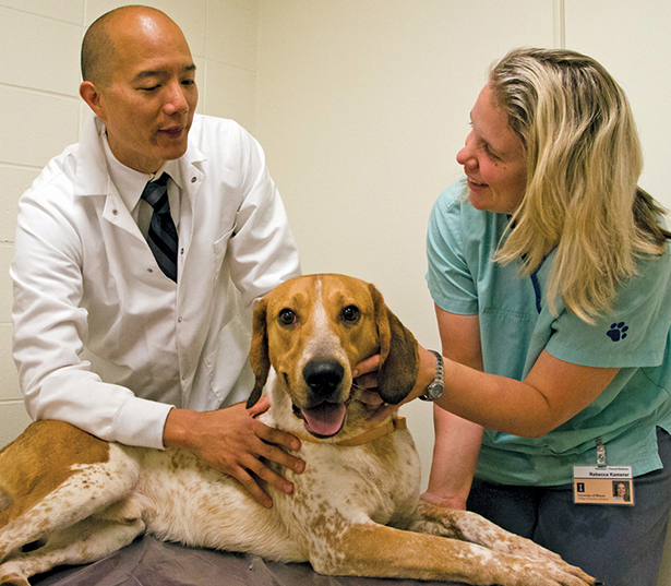 Oncology team with dog