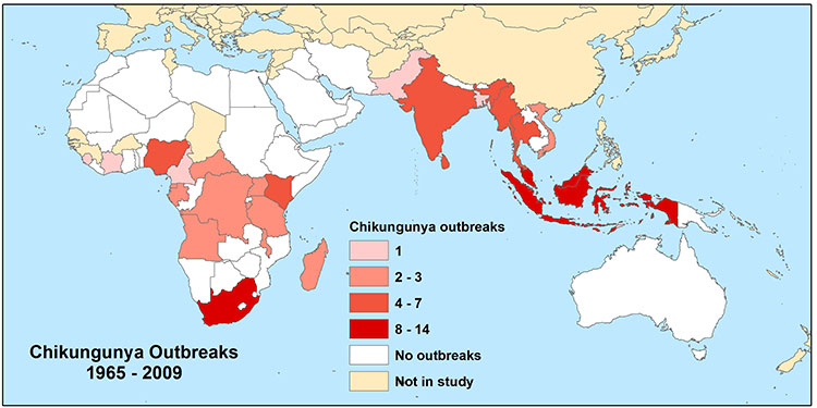 [chikungunya outbreak map]