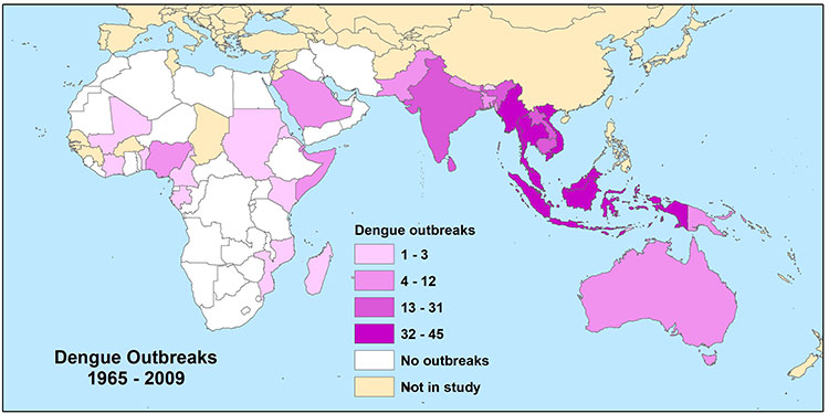 [dengue outbreak map]