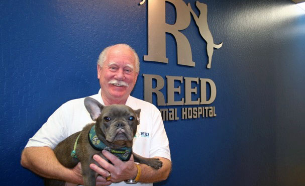 [Dr. David Reed in his veterinary hospital]