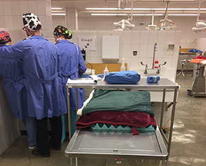 Junior surgeons prepare for a successful surgery week 