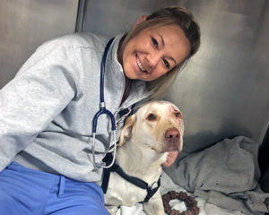 [Brandi Burton with a canine patient]