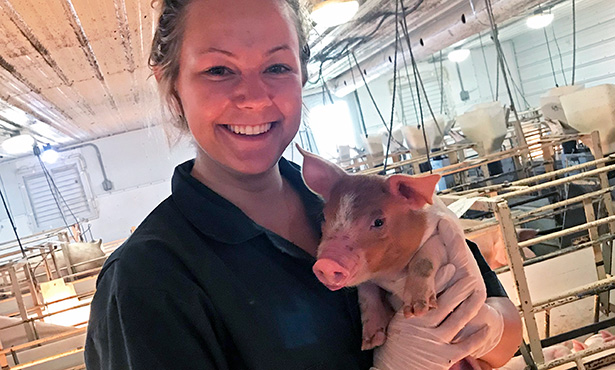 [Dr. Brandi Burton holds a piglet]