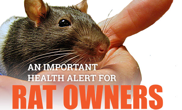 [hantavirus information]