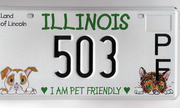 [pet-friendly license plate]