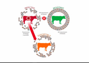 [diagram from biosecurity webinar]