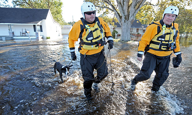 [FEMA workers rescue a dog from a flooded neighborhood]