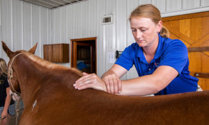 [Dr. Catherine Foreman-Hesterberg adjusts horse's spine]