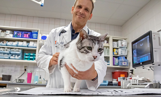 [Dr. Arnon Gal with a cat]