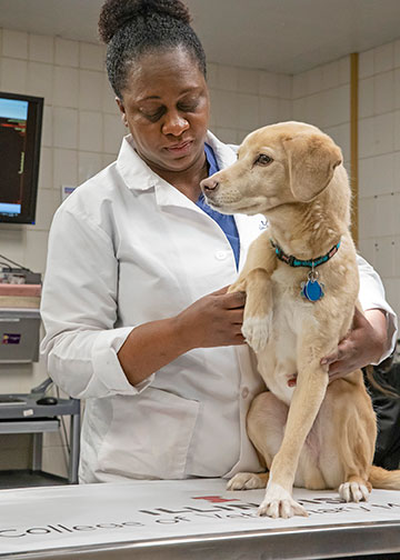 [Dr. Tisha Harper and dog]