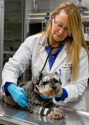 [Dr. Maureen McMichael examines a patient]