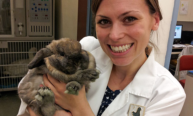 [Dr. Krista Keller poses with a pet rabbit]