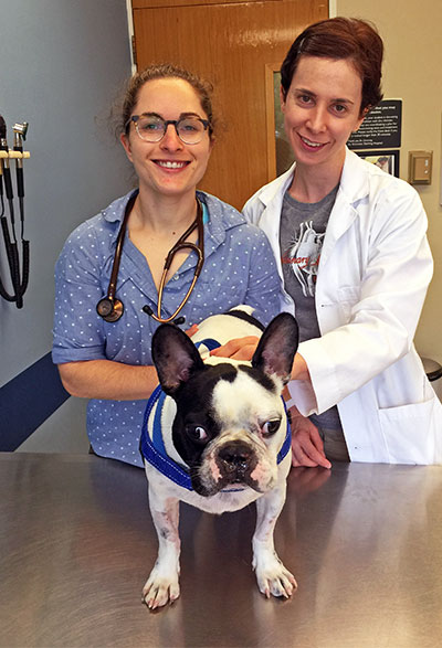 [Sonny with Dr. Heidi Phillips, at right, and surgical resident Dr. Hadley Gleason]