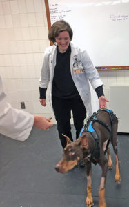 [a Doberman named Lucy benefitted from the new 3T MRI]