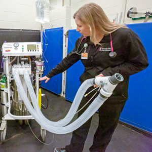 [Dr. Danielle Strahl-Heldreth shows equine anesthesia equipment]