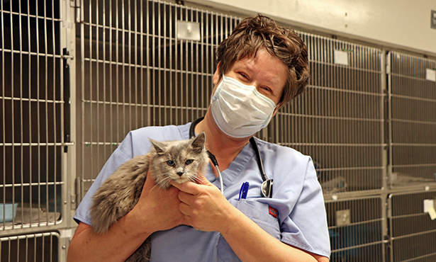 Veterinary Technicians Play Vital Roles - Veterinary Medicine at Illinois