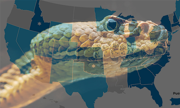 [snake and U.S. map]