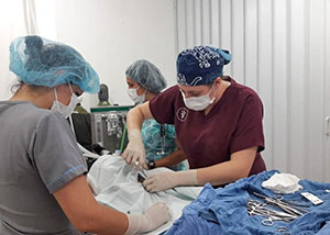 [Megan in surgery in Costa Rica]