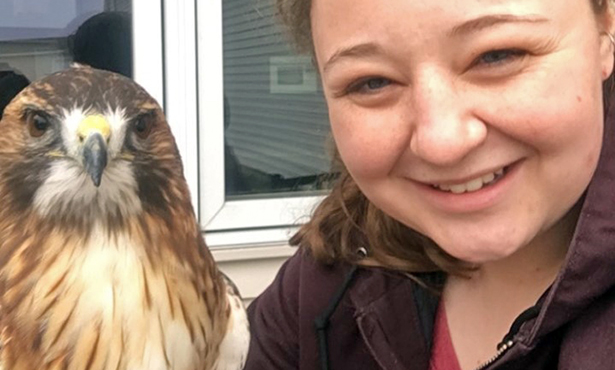 [Mackenzie with Odin the red-tailed hawk]