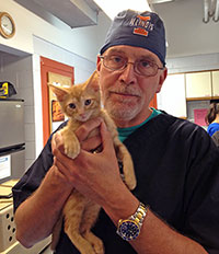 Dr. Bob Weedon with kitten