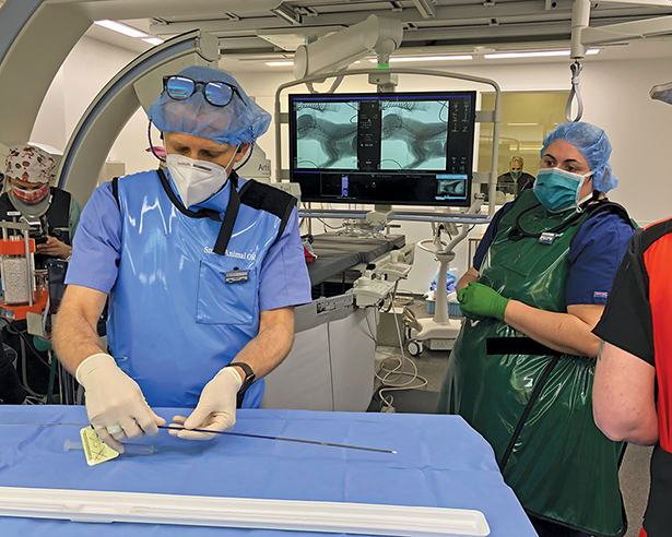 Drs. Gal and Reinhart in IRsuite