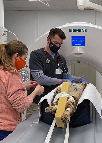 [student and intern prepare bobcat for CT]