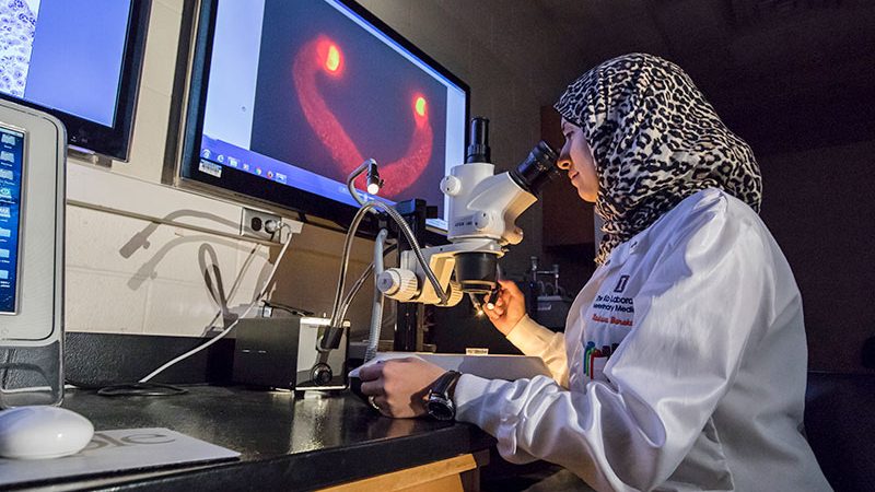 graduate student in Dr. Ko's lab