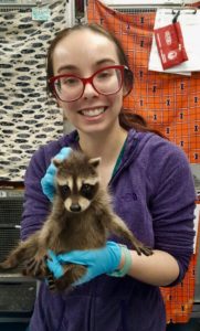 Stephanie with young racoon