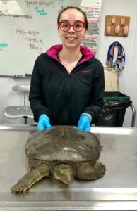 Stephanie with soft shell turtle