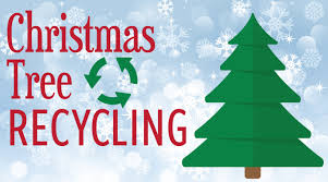 Christmas Tree Recycling - Veterinary Medicine at Illinois