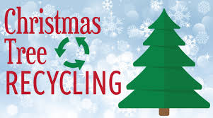 Recycling Christmas Trees for Wildlife